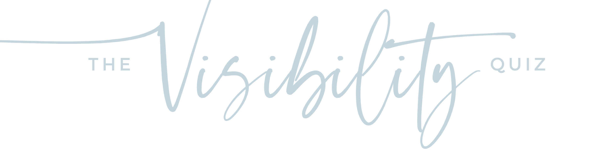 Copy of Visibility School Logo (2).png