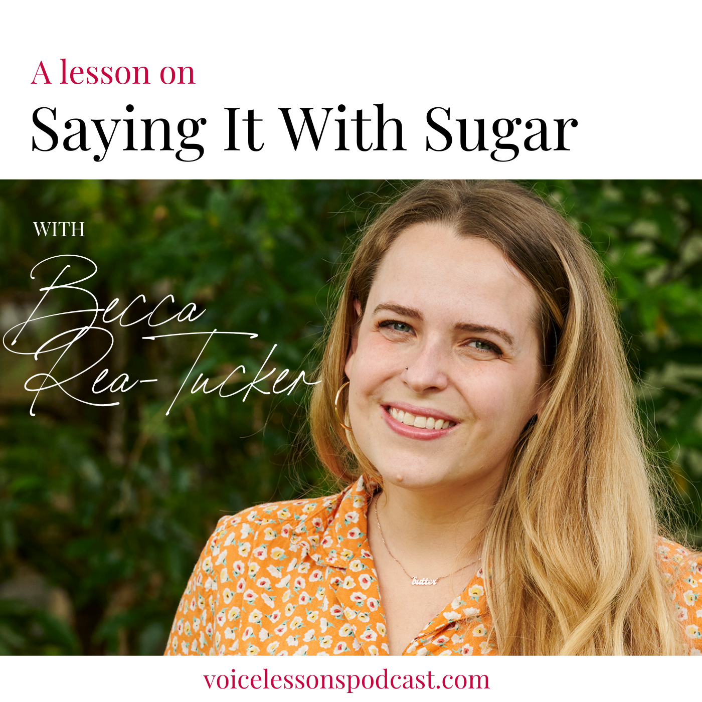 A_Lesson_On_Saying_it_with_Sugar_Becca_ReaTucker